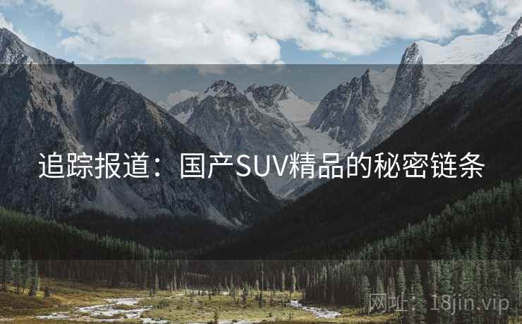 追踪报道：国产SUV精品的秘密链条