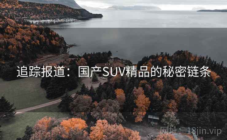 追踪报道:国产SUV精品的秘密链条