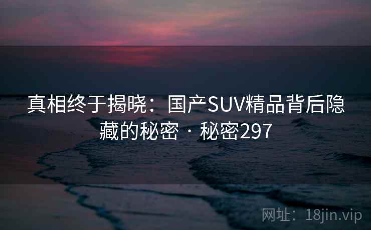 真相终于揭晓:国产SUV精品背后隐藏的秘密 · 秘密297